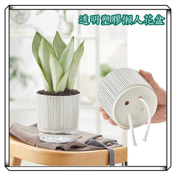 【現貨】自動吸水花盆 吸水花盆 透明花盆 花盆 懶人盆栽 塑膠花盆 水耕 水培花盆 簡約花盆 塑膠花盆 室內植物花盆