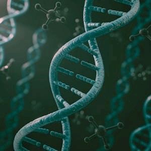 Introduction to Evolutionary Biology: Genes to Behaviour