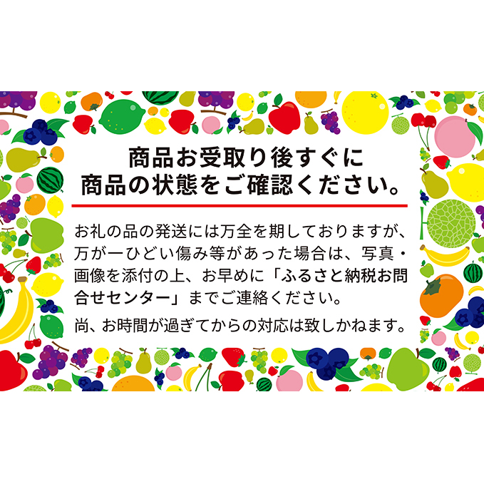 かみふらの 赤肉メロン 約2kg 2玉 セット 北海道 上富良野町 メロン 先行予約 令和6年発送