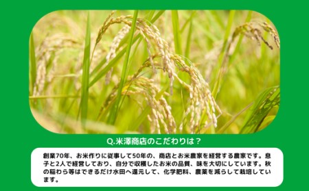 米 こしひかり 10kg × 3回 令和5年産 沖縄県への配送不可 2023年11月上旬頃から順次発送予定 米澤商店 コシヒカリ 白米 精米 長野県 飯綱町 [1245]