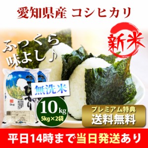 新米 米 無洗米 10kg 愛知県産 コシヒカリ 5kg×2袋 令和5年産 お米 10kg プレミアム特典 送料無料 北海道・沖縄配送不可 即日発送 クー