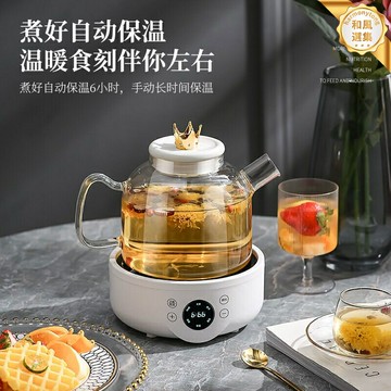 【德系精工】養生壺 煮茶器 花茶壺 電茶壺 煎藥壺 辦公室茶具 家用養生壺 全自動智能 玻璃材質 110V美規電壓