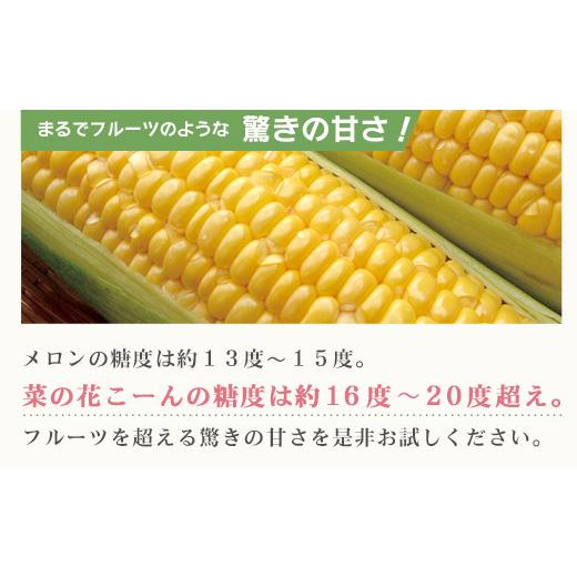 ふるさと納税 岩手県 一関市 朝採れ とうもろこし「菜の花こーん」16〜20本 A3L〜A2Lサイズ  7月下旬より発送