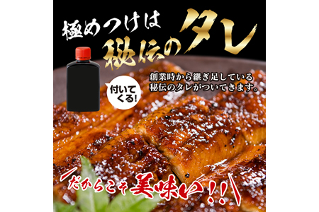 職人手焼きうなぎ蒲焼1尾(計130g以上)　鰻　ウナギ　魚　魚介　国産 BA51-23