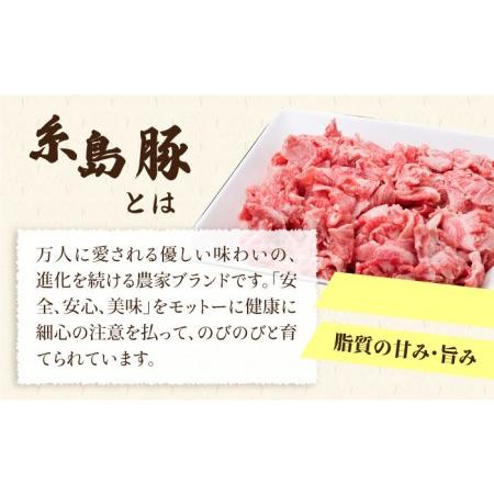 ふるさと納税 毎日のメインのおかずを彩る精肉セット 1,050g 2~3人前 4種《糸島》[ACA202] 豚肉 博多和牛.. 福岡県糸島市