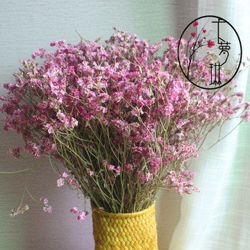 【粉色水晶草干花】云南干花風干天然干花裝飾花束天然植物花材1入