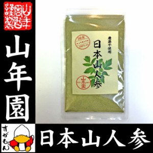 日本山人参 粉末 ヒュウガトウキ 50g パウダー 宮崎県産ノンカフェイン 日本山人参茶 ヒュウガトウキ茶 送料無料 お