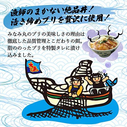 企業組合宇佐もん工房 活き締めブリの醤油漬け丼 60g