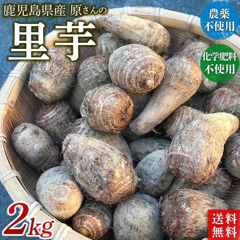 自然農法 土付き 里芋（さといも）２ｋｇ　鹿児島県産・栽培期間中農薬化学肥料不使用