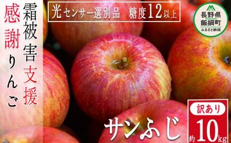 りんご 10kg  果物 サンふじ 訳あり 「感謝りんご」 交換保証 不揃い 規格外 家庭用 傷あり 10キロ (24から50玉) 14000円 先行予約 R6年12月〜R7年1月末 順次発送予定 長野県 飯綱町 [1212]