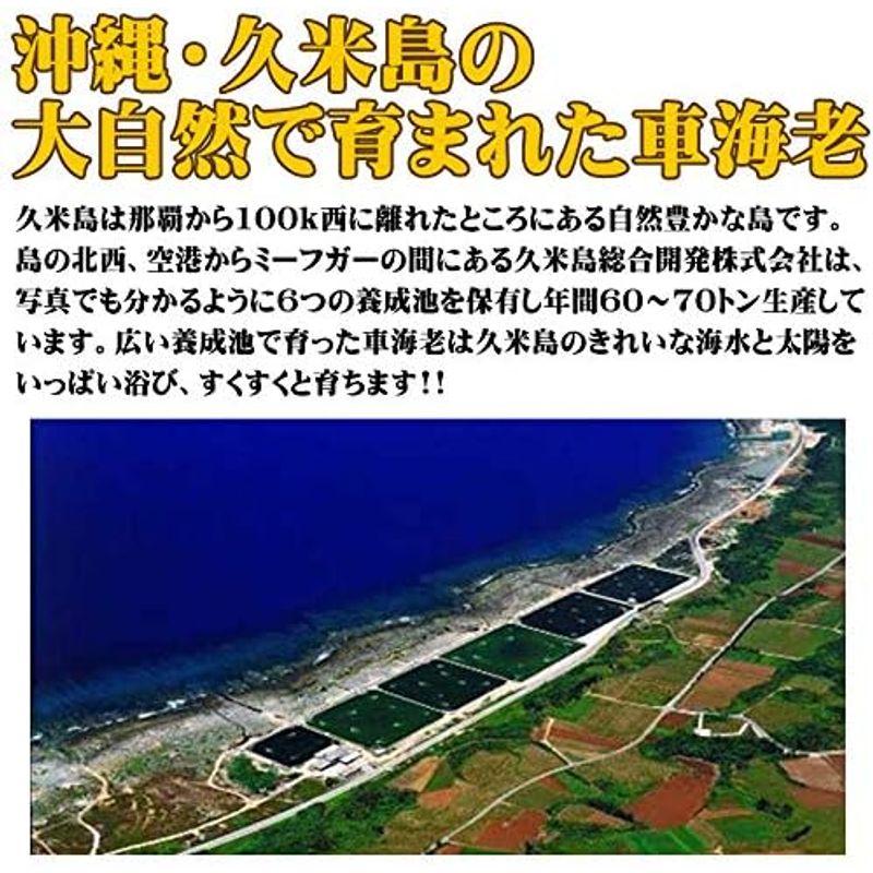 急速冷凍 久米島の車えび 500g チビ(約90尾)×2P 久米総合開発