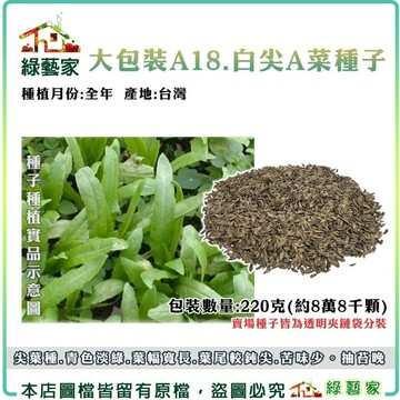 【綠藝家】00A18.大包裝白尖A菜種子220克(約8萬8千顆) (尖葉種)(蔬菜種子) 尖葉種.青色淡綠 葉菜類大包裝