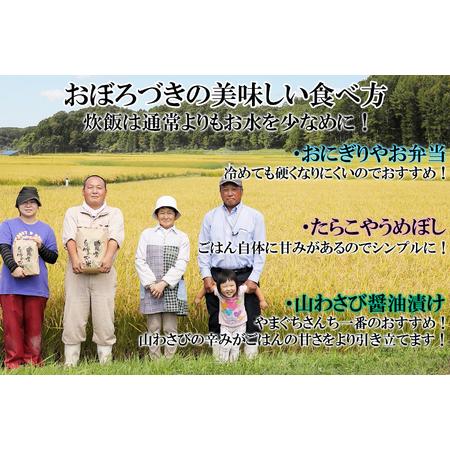 ふるさと納税 ＜ 予約 定期便 全6回 ＞ 北海道産 希少米 おぼろづき 白米 5kg ＜2024年10月より配送＞ 北海道新ひだか町