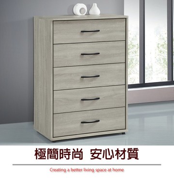 【綠家居】萊亞 時尚2.5尺五斗櫃/收納櫃