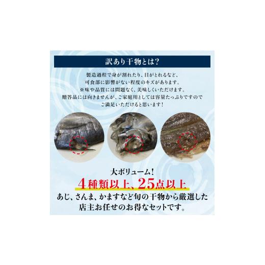 ふるさと納税 和歌山県 串本町 たっぷり25点以上！おざきのひもの「おまかせスペシャルセット」