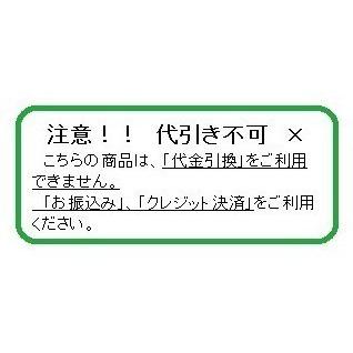 東日興産　除雪機用芯金レスゴムクローラ　１２０×６０×２１