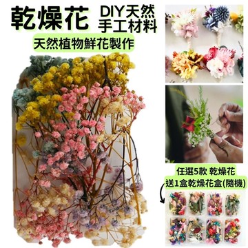 【A-ONE】永生滿天星 3色混搭 乾燥花 永生花 索拉花 DIY手作 花材盒 佈置 送禮裝飾 居家裝飾 A24_廠商直送
