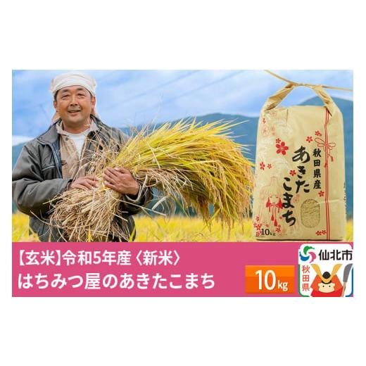 ふるさと納税 秋田県 仙北市 秋田県産 あきたこまち 10kg 新米 令和5年産 10キロ お米 仙北市