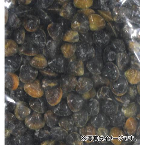 クニヒロ　宍道湖産冷凍しじみ　1kg