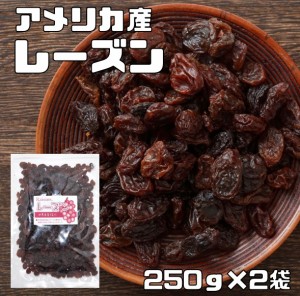 レーズン 250ｇ×2袋 アメリカ産 世界美食探究 （メール便）ドライフルーツ 種なし カリフォルニア産 乾燥ぶどう 製菓 製パン 材料 国内