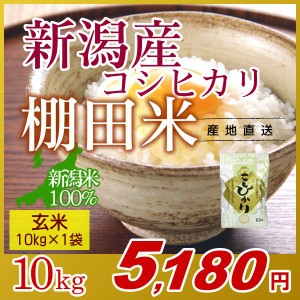 お米 10kg 玄米 棚田米 新潟産コシヒカリ 令和5年産 新米   米 高級銘柄米 新潟米 ブランド米 新潟 新潟県産 国内産 人気 おいしい こし