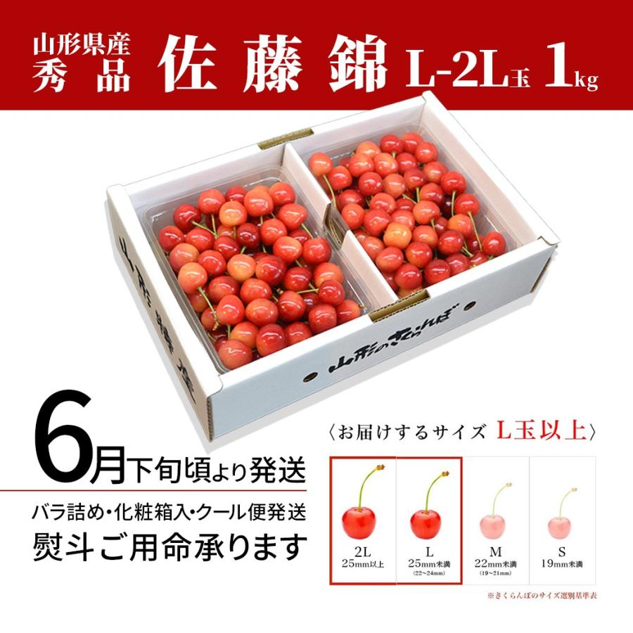 さくらんぼ 佐藤錦 Ｌ 2L玉 1kg（500g×2） 山形 秀品 サクランボ 取り寄せ 送料無料 贈答用 ギフト