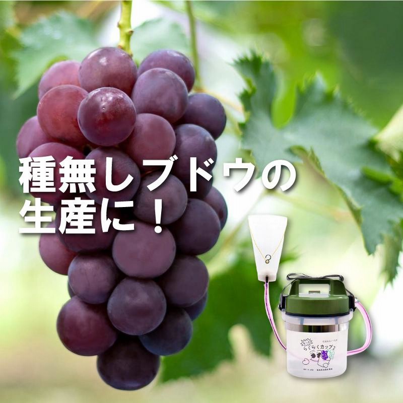 乾電池式ジベ処理器 らくらくカップ2 カップサイズ特大 (ぶどう