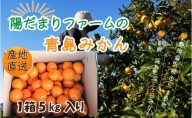 陽だまりファーム 三ヶ日 青島 みかん 5kg 1箱