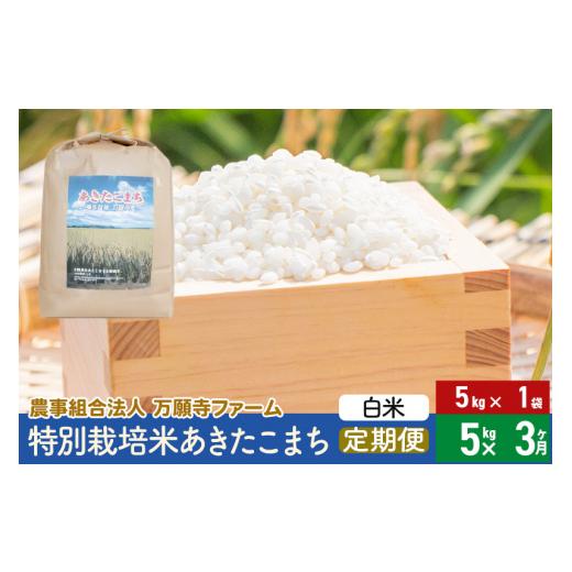 ふるさと納税 秋田県 美郷町 《定期便3ヶ月》令和5年産 特別栽培米あきたこまち 5kg（5kg×1袋）×3回 計15kg 3か月 3ヵ月 3カ月 3ケ月