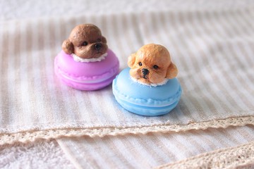 公版寵物造型置物盒-貴賓.法鬥.瑪爾.柯基