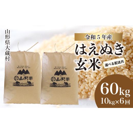 ふるさと納税 山形県 大蔵村 令和5年産 大蔵村 はえぬき  60kg定期便 （10kg×6回発送）