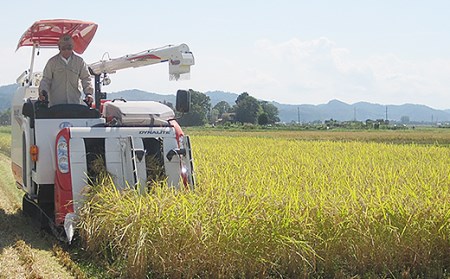 75-3K10Z新潟県長岡産特別栽培米こしいぶき10kg（5kg×2袋）