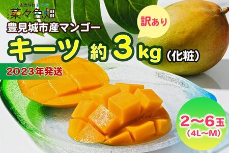 キーツマンゴー約3kg（白箱）訳ありご家庭用