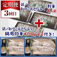 活〆おうごんとらふぐ刺身4人前セット　3回目鍋用切身800g付