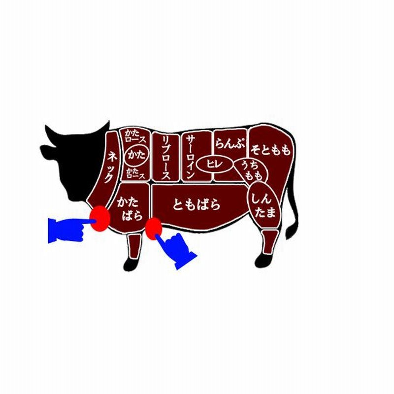 黒毛和牛 赤身スジ「かっぱスジ」1kg (500gパックx2) 冷凍便でお