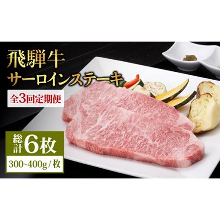 ふるさと納税 飛騨牛 サーロインステーキ 400g×2枚 国産 和牛 牛肉 焼肉 お取り寄せ   [MBE021] 岐阜県土岐市