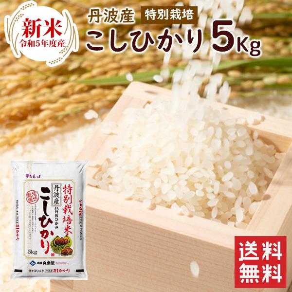 新米 特別栽培  丹波産（兵庫県）コシヒカリ5kg（5kg×1袋）  送料無料 令和5年産 特別栽培 精米 お米 （北海道・沖縄別途送料）（配達日・時間指定は不可）