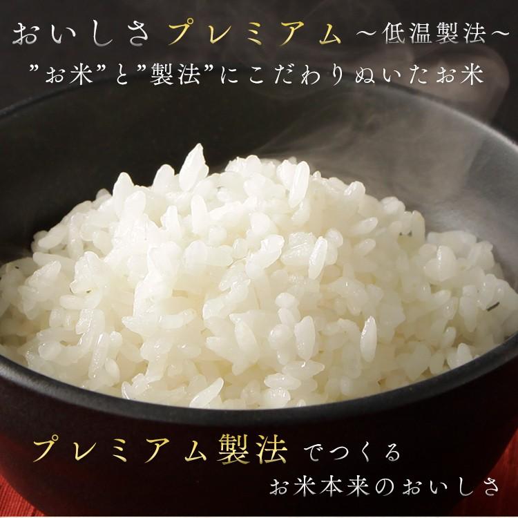米 お米 生鮮米 新潟県産 新之助 300g アイリスフーズ