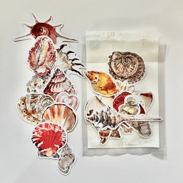 貝 SHELL 貼紙包