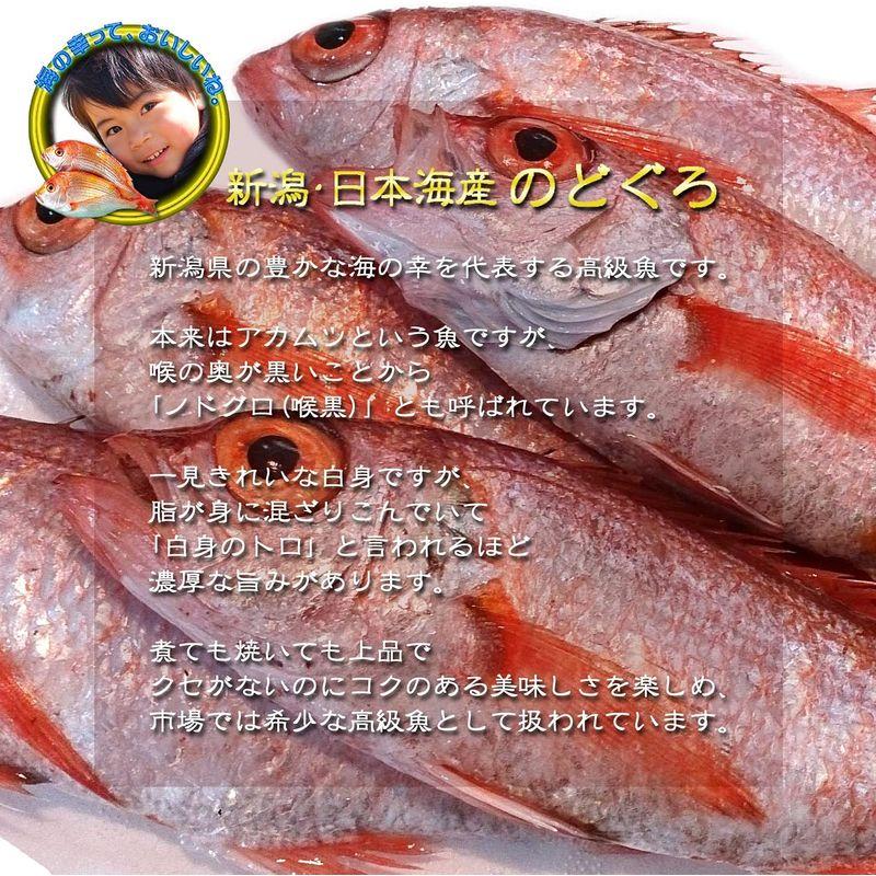 魚水島 のどぐろ 新潟・日本海産 ノドグロ 500g以上・2尾（生冷凍）