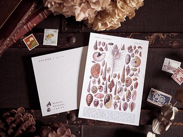 英國1910年百科圖鑑 復刻版明信片 P款