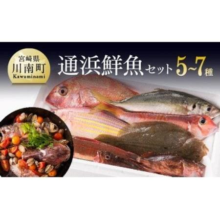 ふるさと納税 『日向灘海の幸』通浜鮮魚セット 宮崎県川南町