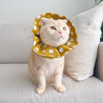 【恰氏手作】古家悦子 愛的豹豹寵物防舔圈 伊麗莎白圈