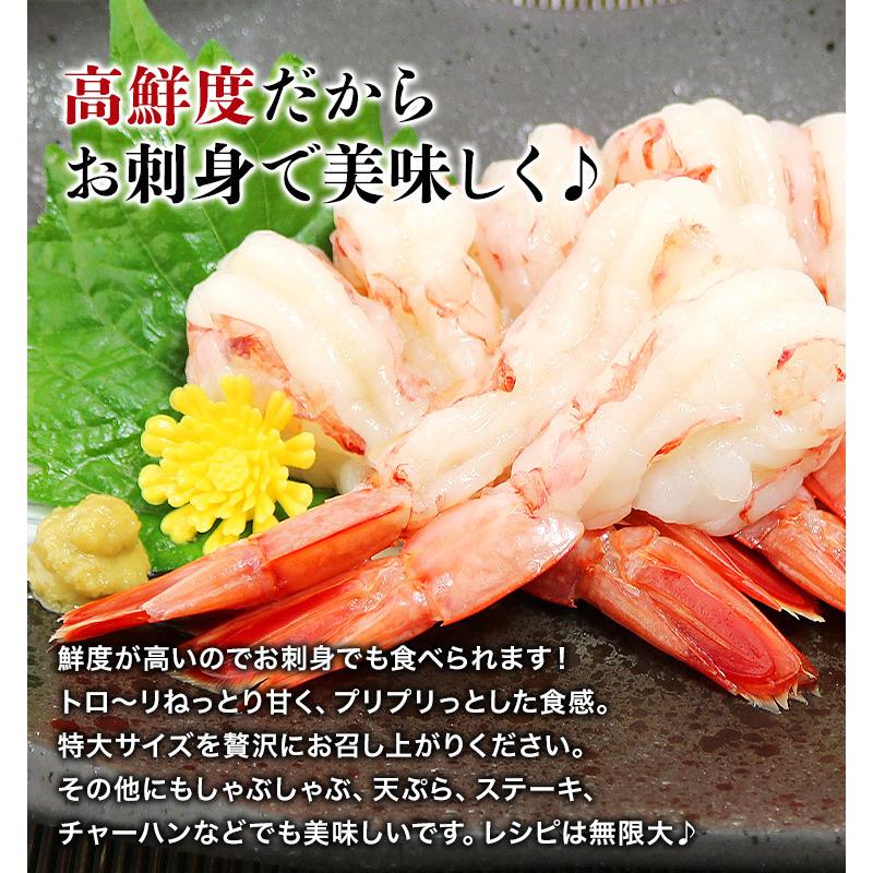 刺し身OK 特大赤えび 30尾 ぷりっぷり 優良配送 送料無料 生食 えび 海老 アカエビ グルメ お歳暮 ギフト 10%クーポン