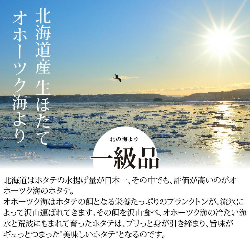 ほたて 貝柱 1kg ホタテ 北海道産 化粧箱付 大粒 オホーツク海 お刺身 規格品 大き目 プレゼント ギフト 刺身 母の日 父の日 