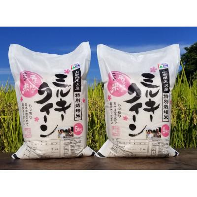 ふるさと納税 米沢市 令和5年産　特別栽培米　ミルキークイーン　5kg×2袋