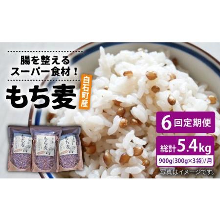 ふるさと納税 白石産 もち麦 900g（300g×3袋） 回（総計5.4kg）[IAA035] 佐賀県白石町