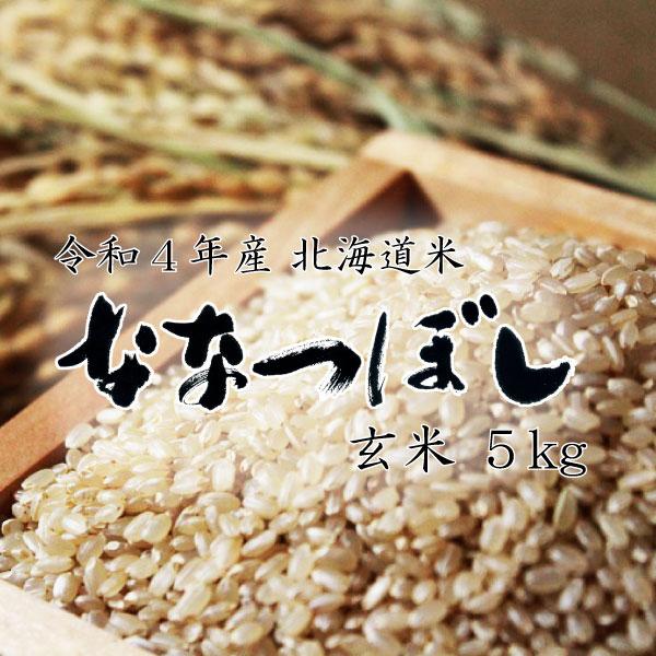 新米 米5kg お米 北海道米 ななつぼし 玄米 5kg  令和５年産 送料無料