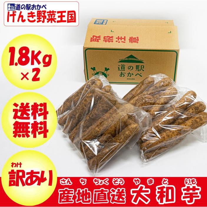 ヤマトイモ 3.6Kg B品 訳あり