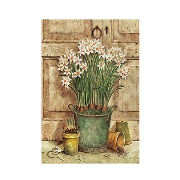 文藝植栽花卉無框掛畫